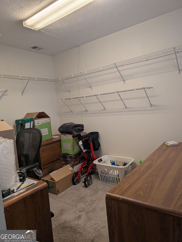 206 River Run, Atlanta, GA 30350 - spacious closet with carpet