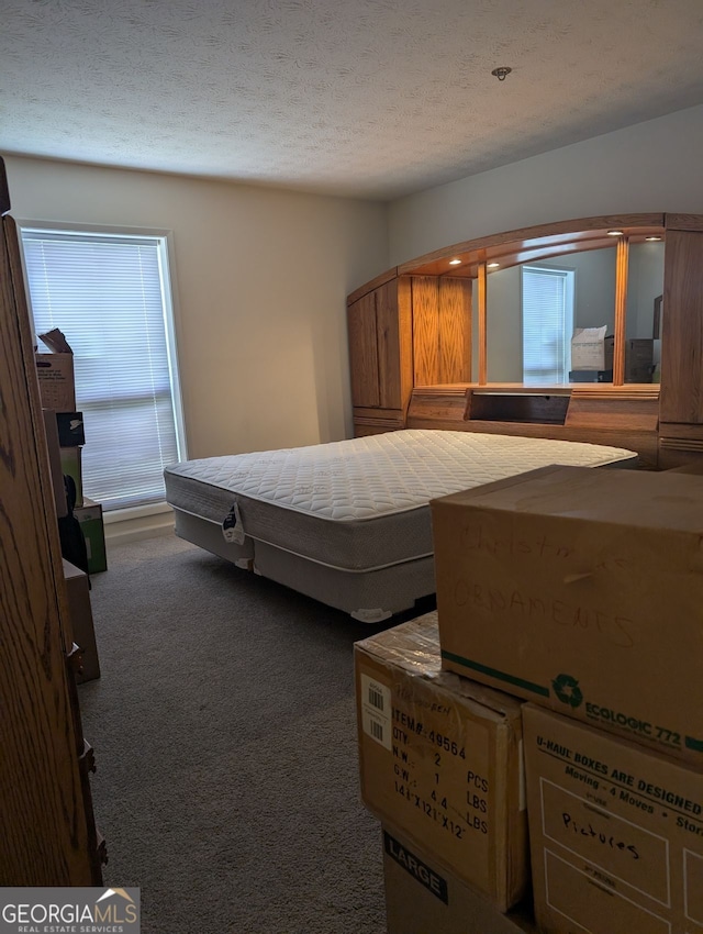 206 River Run, Atlanta, GA 30350 - bedroom with a textured ceiling and carpet flooring