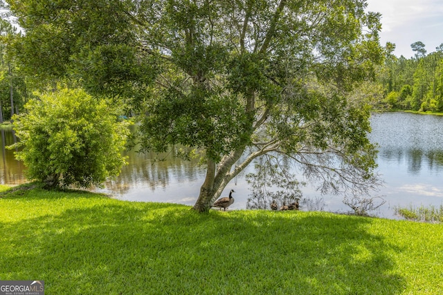 326 Daniel Trent Way, Kingsland, GA 31548 - water view