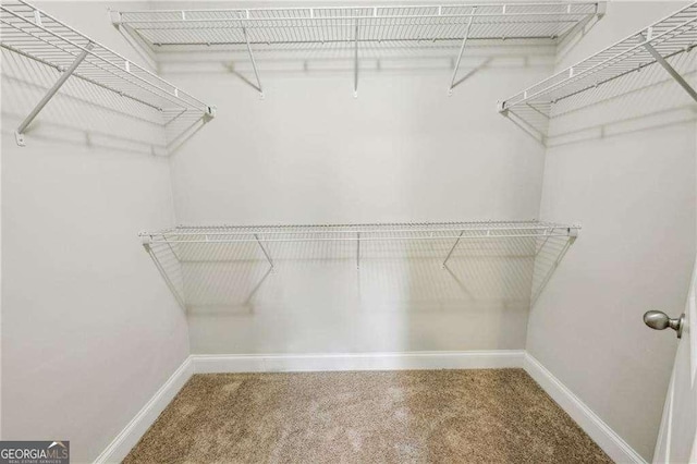 2817 White Oak Ln, Decatur, GA 30032 - spacious closet with carpet flooring