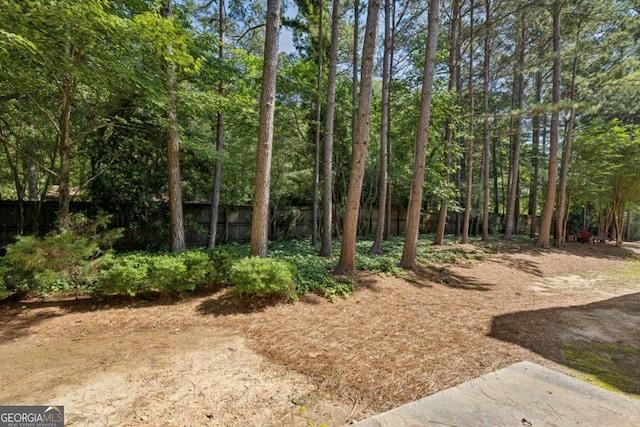 3150 Stonewyck Pl, Decatur, GA 30033 - view of nature