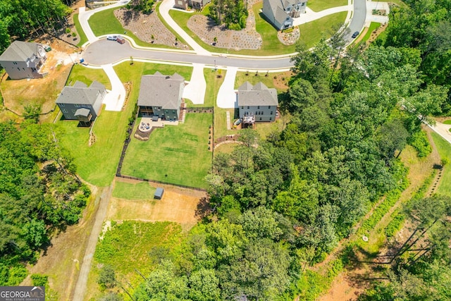 1013 Liberty Springs Dr, Woodstock, GA 30188 - bird's eye view