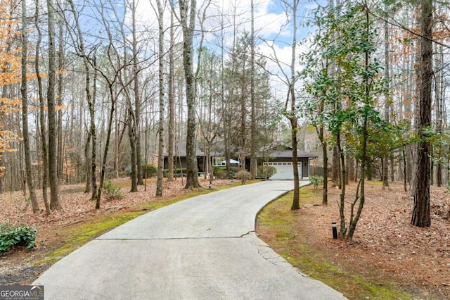 2796 County Line Rd NW, Acworth, GA 30101 - view of asphalt driveway