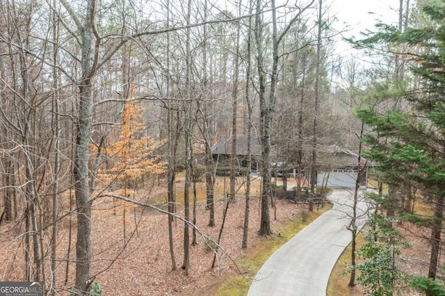2796 County Line Rd NW, Acworth, GA 30101 - surrounding community with concrete driveway