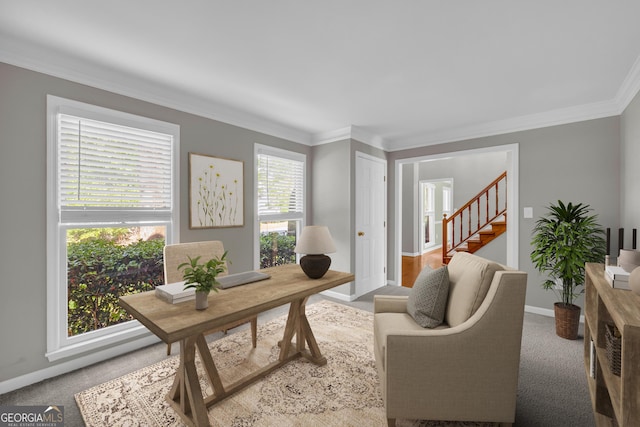 2151 Hamstead Ct, Suwanee, GA 30024 - office space featuring ornamental molding, carpet, and baseboards