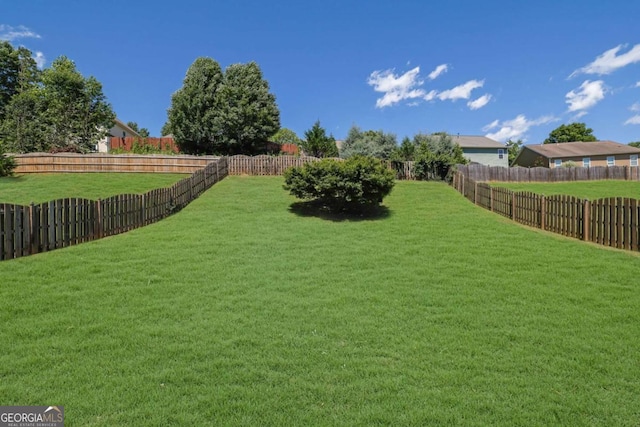 955 Mill Creek Ave, Canton, GA 30115 - view of yard