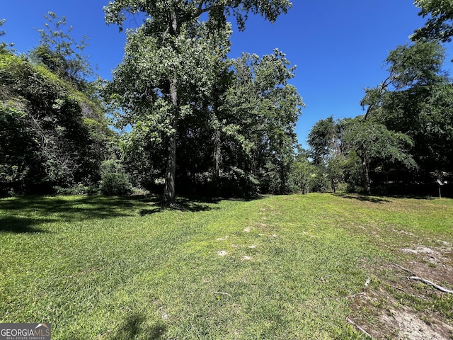 2976 Twin Pine Rd, Thomson, GA 30824 - view of grassy yard