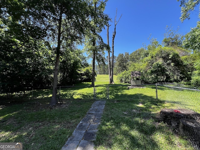 2976 Twin Pine Rd, Thomson, GA 30824 - view of yard