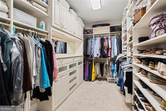 4115 Gold Mill Rdg, Canton, GA 30114 - walk in closet featuring light colored carpet