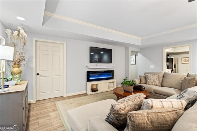 4115 Gold Mill Rdg, Canton, GA 30114 - living room with light wood-style flooring, a raised ceiling, crown molding, a glass covered fireplace, and baseboards