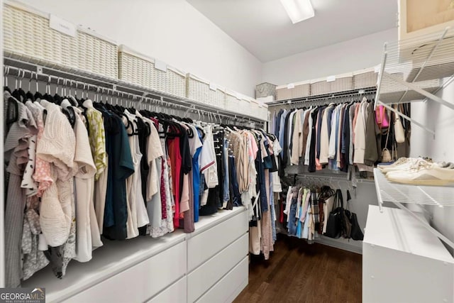 5120 Falcon Chase Ln, Atlanta, GA 30342 - walk in closet with wood finished floors