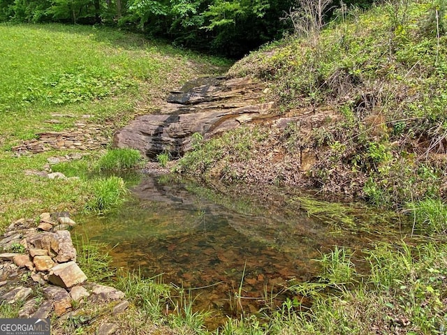 554 Vandiviere Rd, Dawsonville, GA 30534 - view of nature