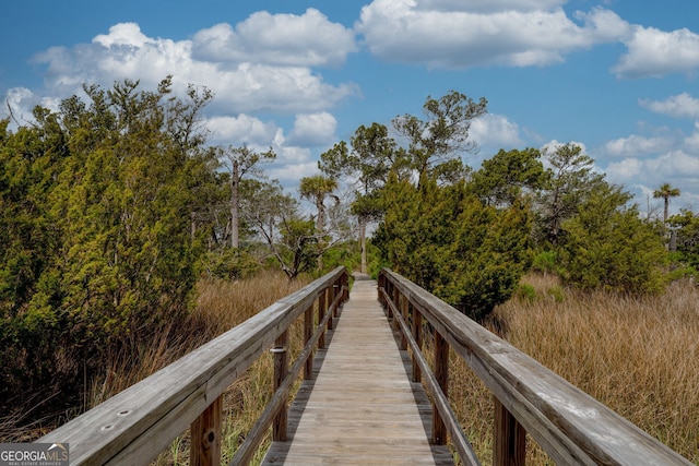 39 Helmsman Ct, Savannah, GA 31410 - view of dock area