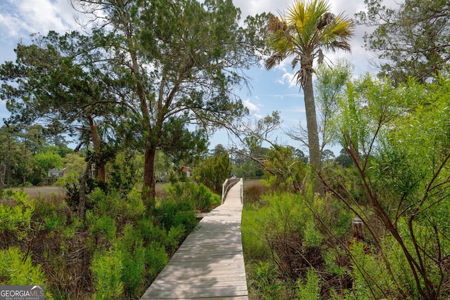 39 Helmsman Ct, Savannah, GA 31410 - view of property's community