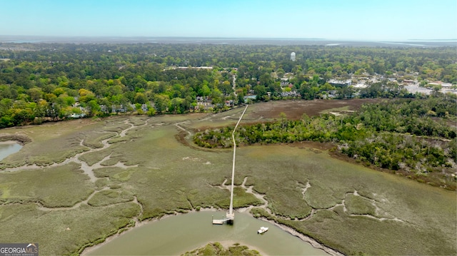 39 Helmsman Ct, Savannah, GA 31410 - aerial view of property's location featuring a large body of water and a forest