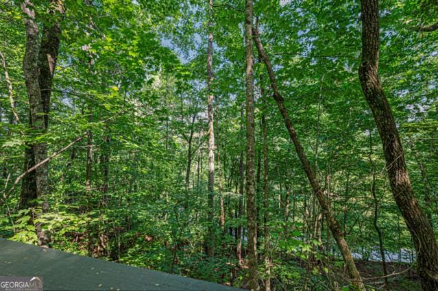 44 11th St, Ellijay, GA 30540 - view of tree filled area