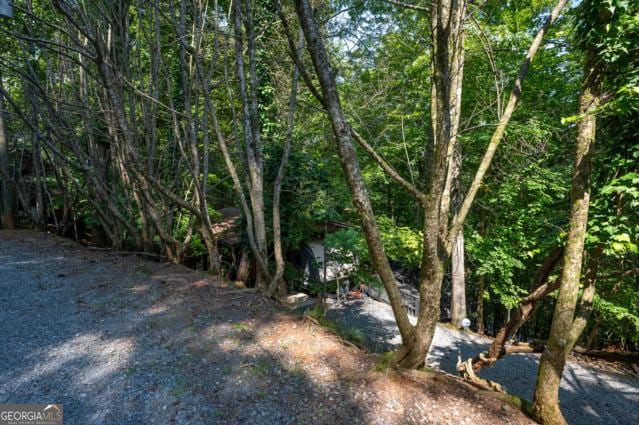 44 11th St, Ellijay, GA 30540 - view of yard featuring a forest view
