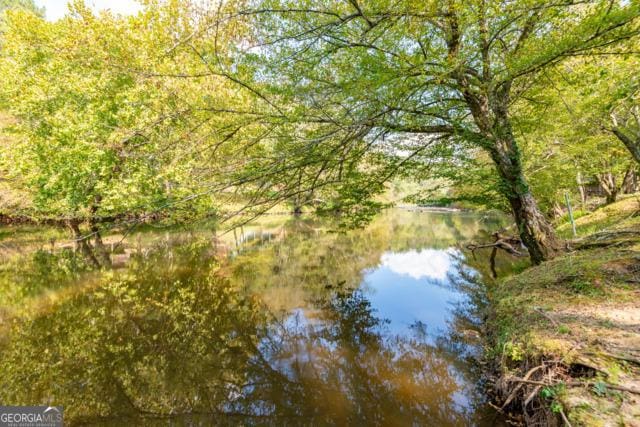 44 11th St, Ellijay, GA 30540 - water view with a forest
