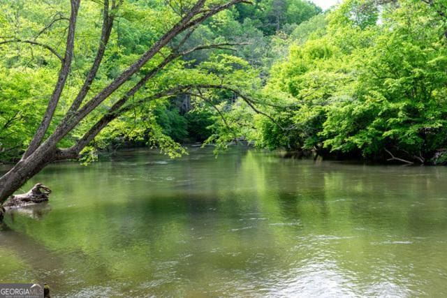 44 11th St, Ellijay, GA 30540 - water view featuring a forest