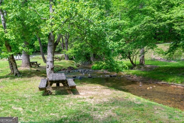 44 11th St, Ellijay, GA 30540 - view of green lawn