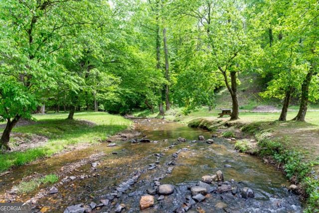 44 11th St, Ellijay, GA 30540 - view of yard featuring a view of trees