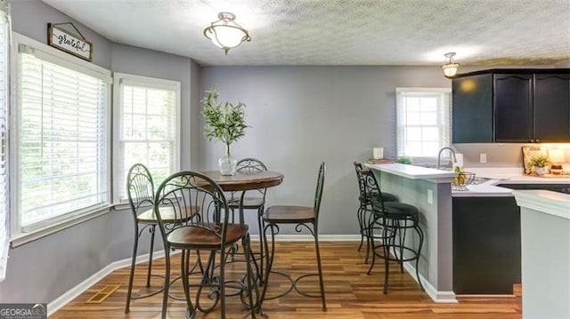 118 Valleyside Dr, Dallas, GA 30157 - dining room with light wood-style flooring, a textured ceiling, and baseboards
