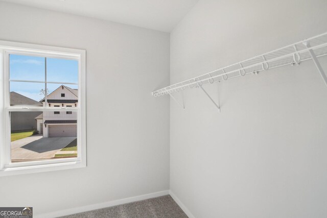 5344 Milford Dr Unit 183A, Gainesville, GA 30507 - walk in closet featuring carpet floors
