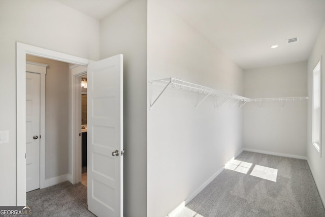 5344 Milford Dr Unit 183A, Gainesville, GA 30507 - walk in closet with carpet floors