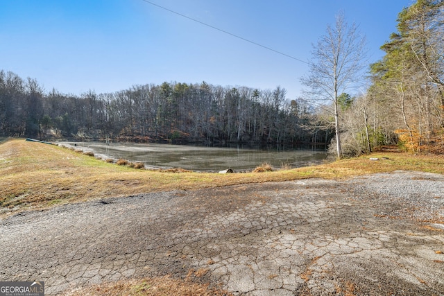 1935 Sam Bell Rd, Clarkesville, GA 30523 - view of road with a wooded view
