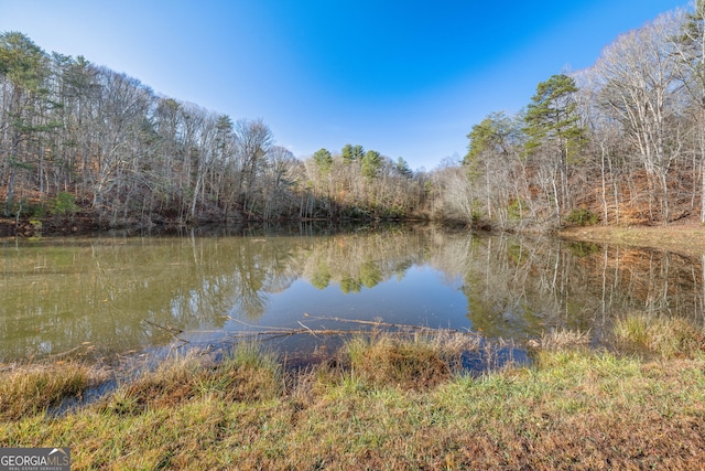 1935 Sam Bell Rd, Clarkesville, GA 30523 - water view with a heavily wooded area