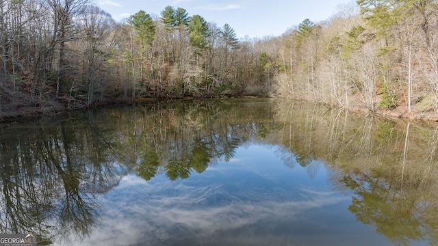 1935 Sam Bell Rd, Clarkesville, GA 30523 - water view featuring a heavily wooded area