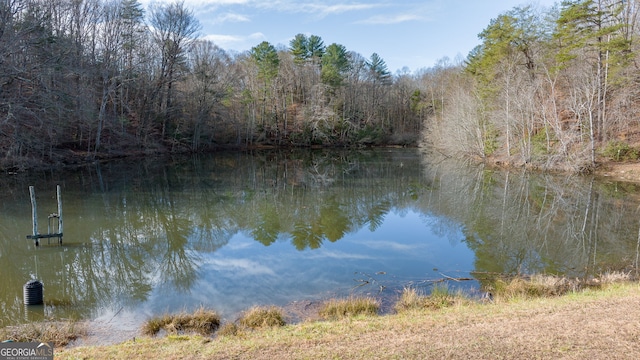 1935 Sam Bell Rd, Clarkesville, GA 30523 - water view featuring a forest