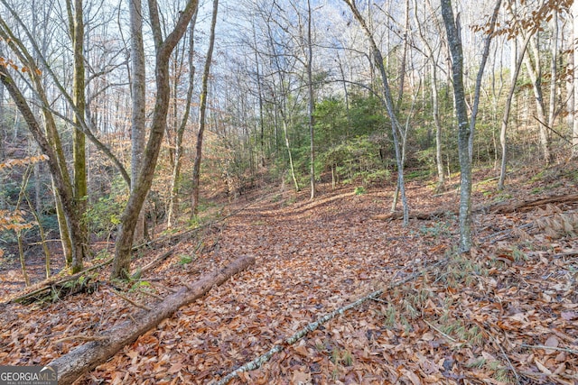 1935 Sam Bell Rd, Clarkesville, GA 30523 - view of wooded area
