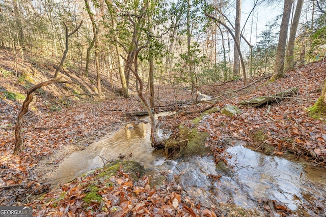 1935 Sam Bell Rd, Clarkesville, GA 30523 - view of nature