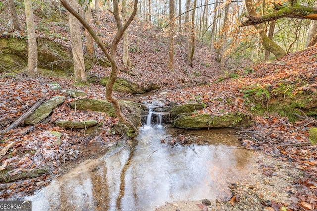 1935 Sam Bell Rd, Clarkesville, GA 30523 - water view