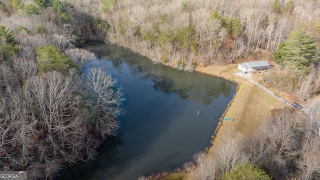 1935 Sam Bell Rd, Clarkesville, GA 30523 - bird's eye view of a nearby body of water and a heavily wooded area