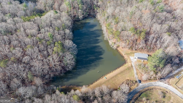 1935 Sam Bell Rd, Clarkesville, GA 30523 - view of property location with a large body of water and a heavily wooded area