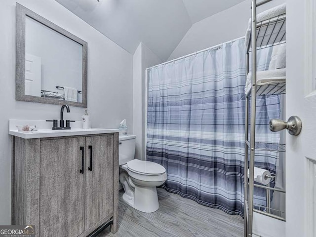 3931 Upper Bethany Rd, Ball Ground, GA 30107 - full bathroom with vaulted ceiling, toilet, vanity, and a shower with shower curtain