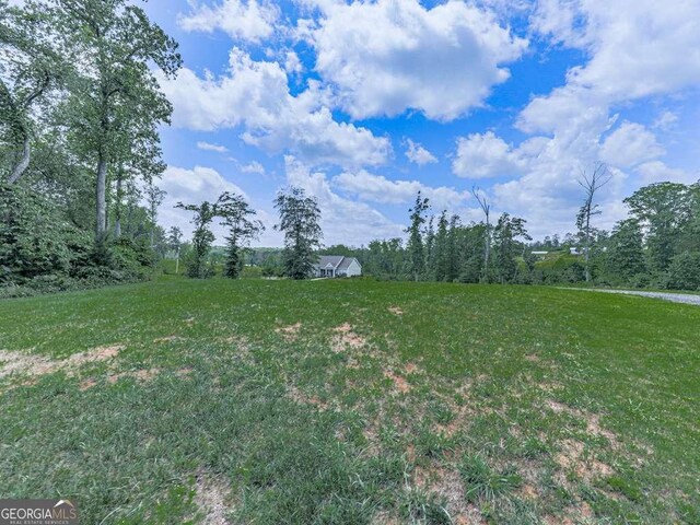 3931 Upper Bethany Rd, Ball Ground, GA 30107 - view of green lawn