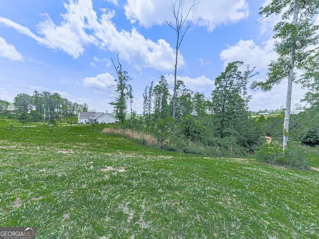 3931 Upper Bethany Rd, Ball Ground, GA 30107 - view of yard