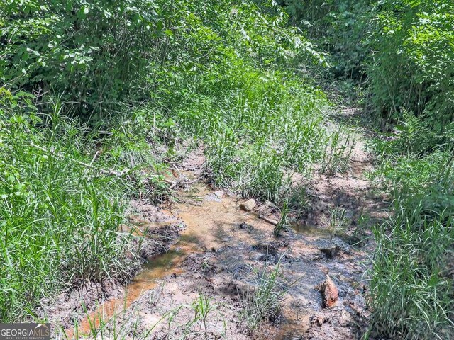3931 Upper Bethany Rd, Ball Ground, GA 30107 - view of local wilderness