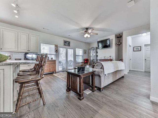 3931 Upper Bethany Rd, Ball Ground, GA 30107 - living area featuring ceiling fan, light wood-style flooring, baseboards, and rail lighting