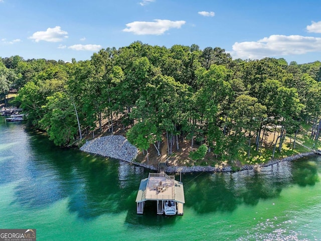 6678 Gaines Ferry Rd, Flowery Branch, GA 30542 - drone / aerial view of a large body of water
