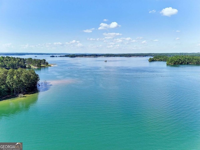 6678 Gaines Ferry Rd, Flowery Branch, GA 30542 - water view