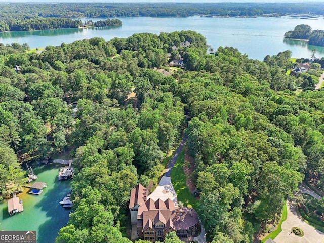6678 Gaines Ferry Rd, Flowery Branch, GA 30542 - view of property location with a large body of water