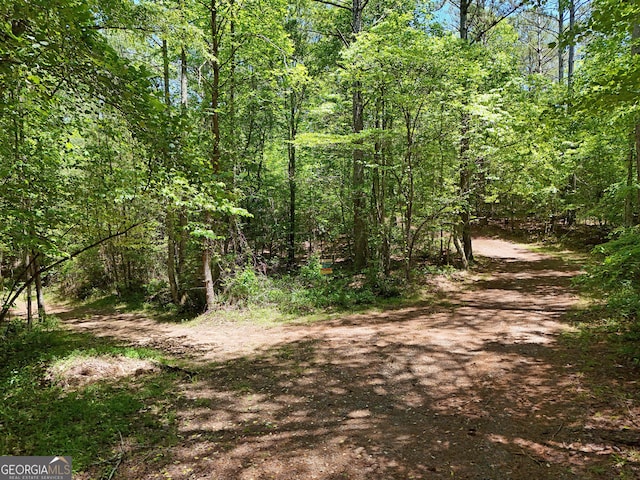 2 Carver Mill Rd, Talking Rock, GA 30175
