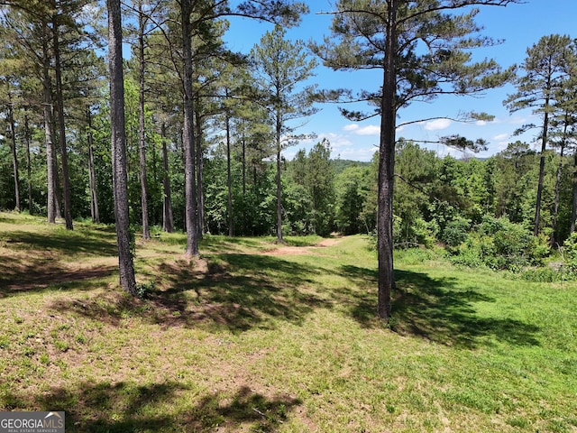 2 Carver Mill Rd, Talking Rock, GA 30175