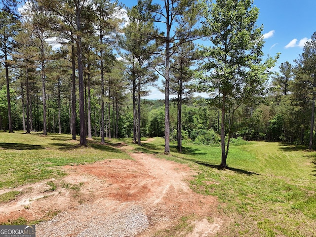 2 Carver Mill Rd, Talking Rock, GA 30175