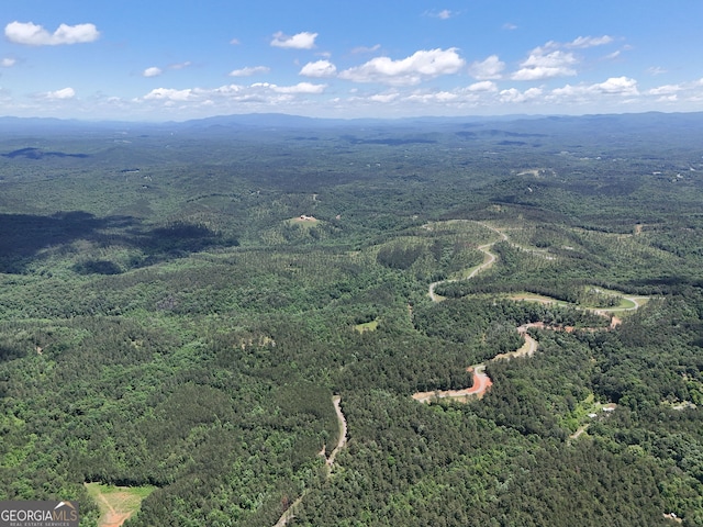2 Carver Mill Rd, Talking Rock, GA 30175