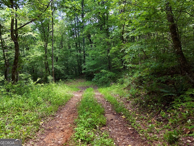2 Carver Mill Rd, Talking Rock, GA 30175